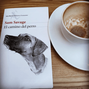 Captura de pantalla 2017-07-21 a las 11.18.05